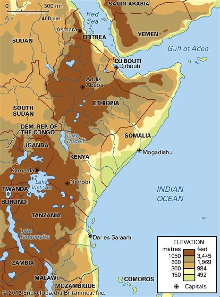 A map showing where to find a ladder to access the Malformed Seed