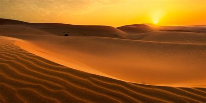 A sandy desert in The Legend of Zelda: Skyward Sword HD