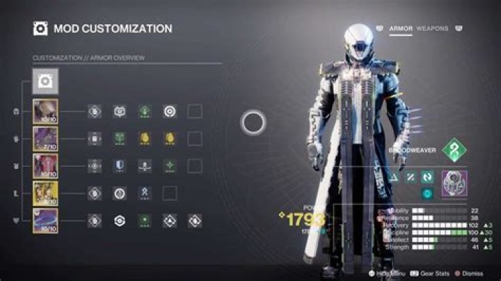 Fallen Armaments mod Destiny 2