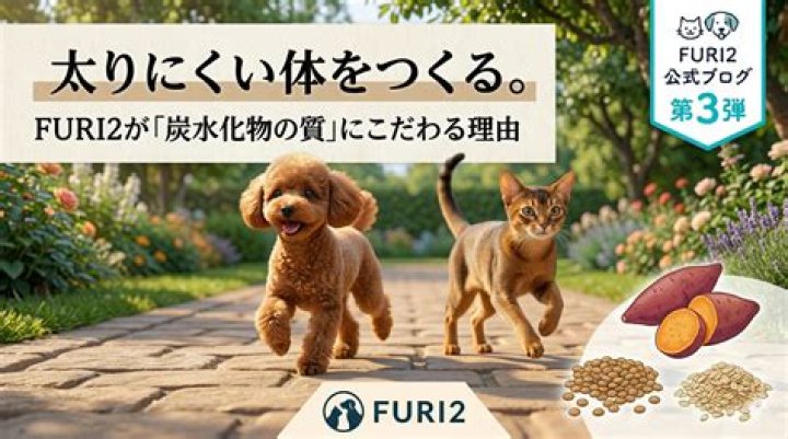 furi2