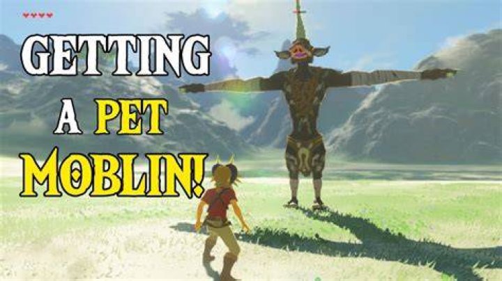 Link hits a moblin with a spear