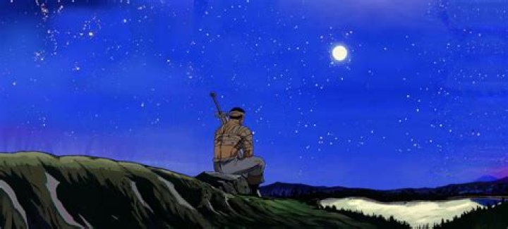 Sable sitting on a hill with a starry night in the background 
