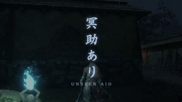 Sekiro Unseen Aid