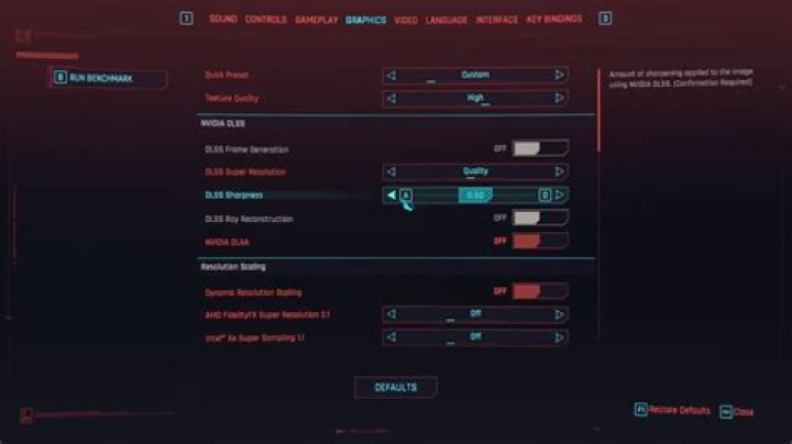 The advanced settings in Cyberpunk (Image via CD Projekt Red)