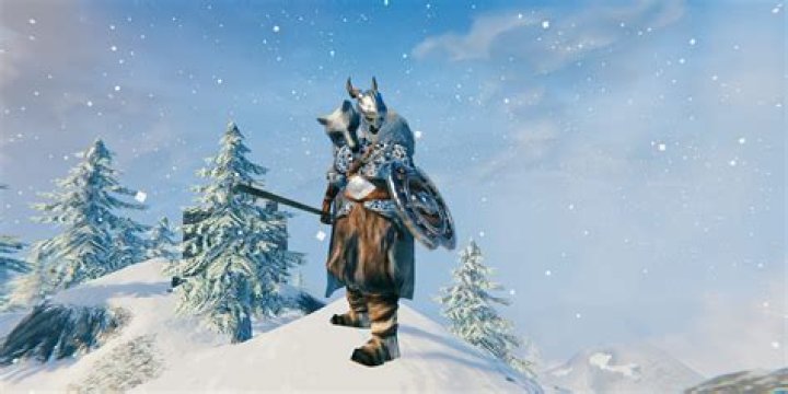 Valheim mountain biome silver wolf armor set